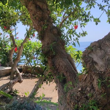 Sifis Place Daire Léntas Dış mekan fotoğraf